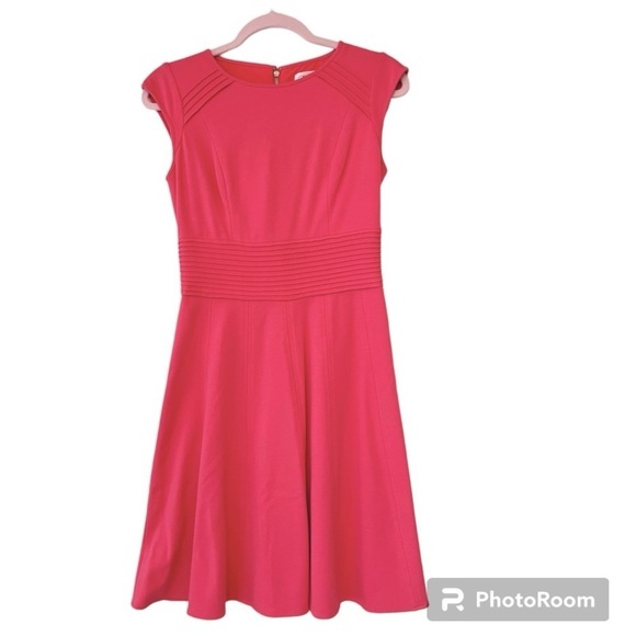 Elizabeth J Fit and Flare Dress with Pintuck Waistband Size 6 - Picture 1 of 8